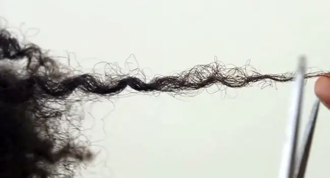 trimming curly hair yourself